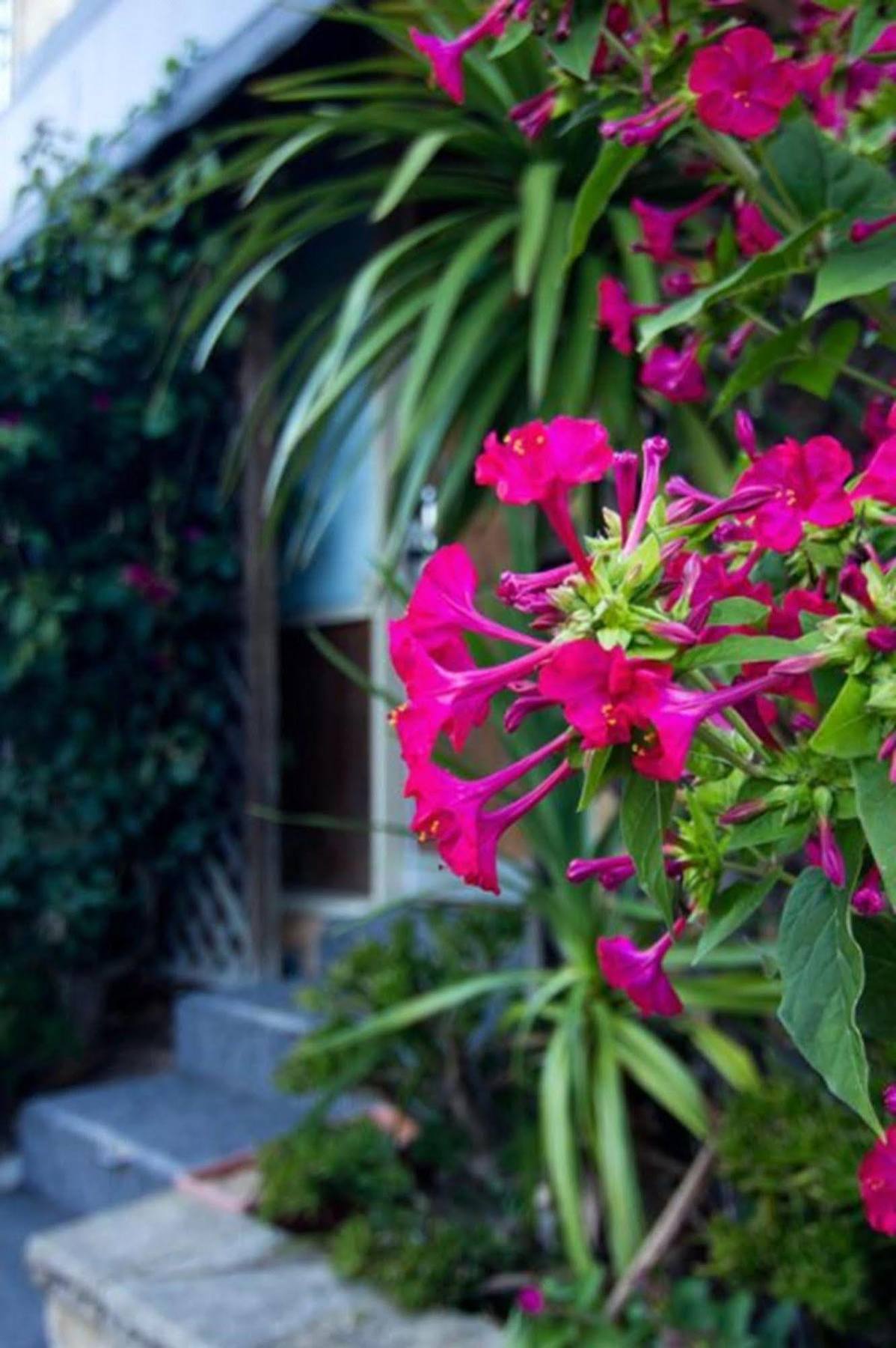 Cronulla Motor Inn Dış mekan fotoğraf