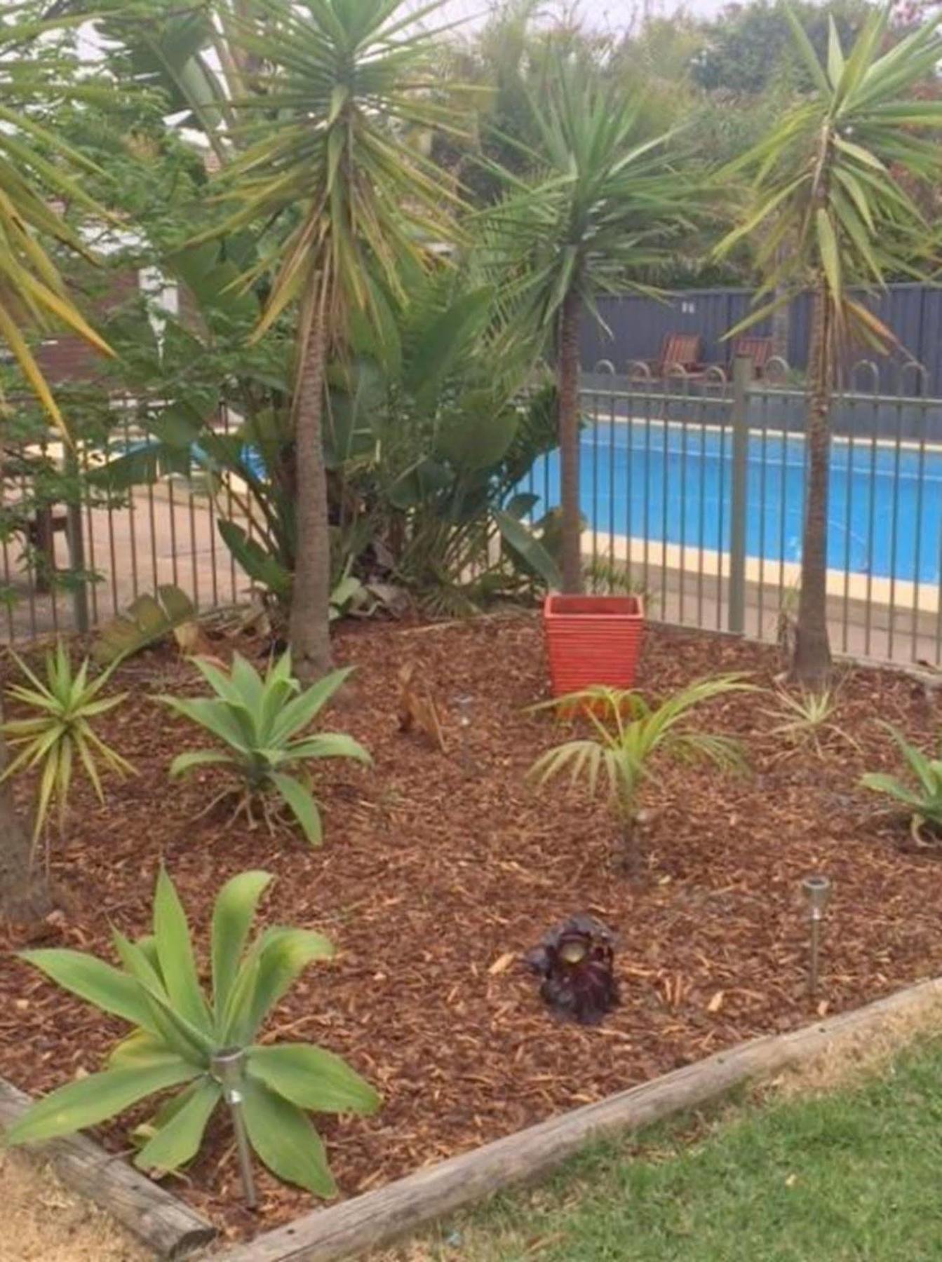Cronulla Motor Inn Dış mekan fotoğraf